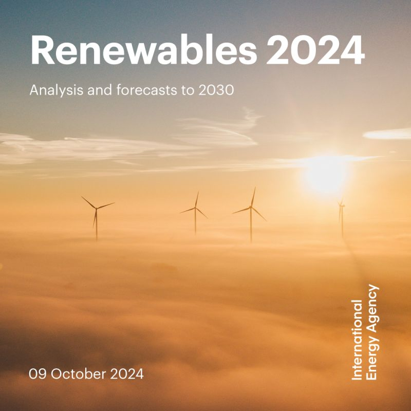 image-20241016145046-1